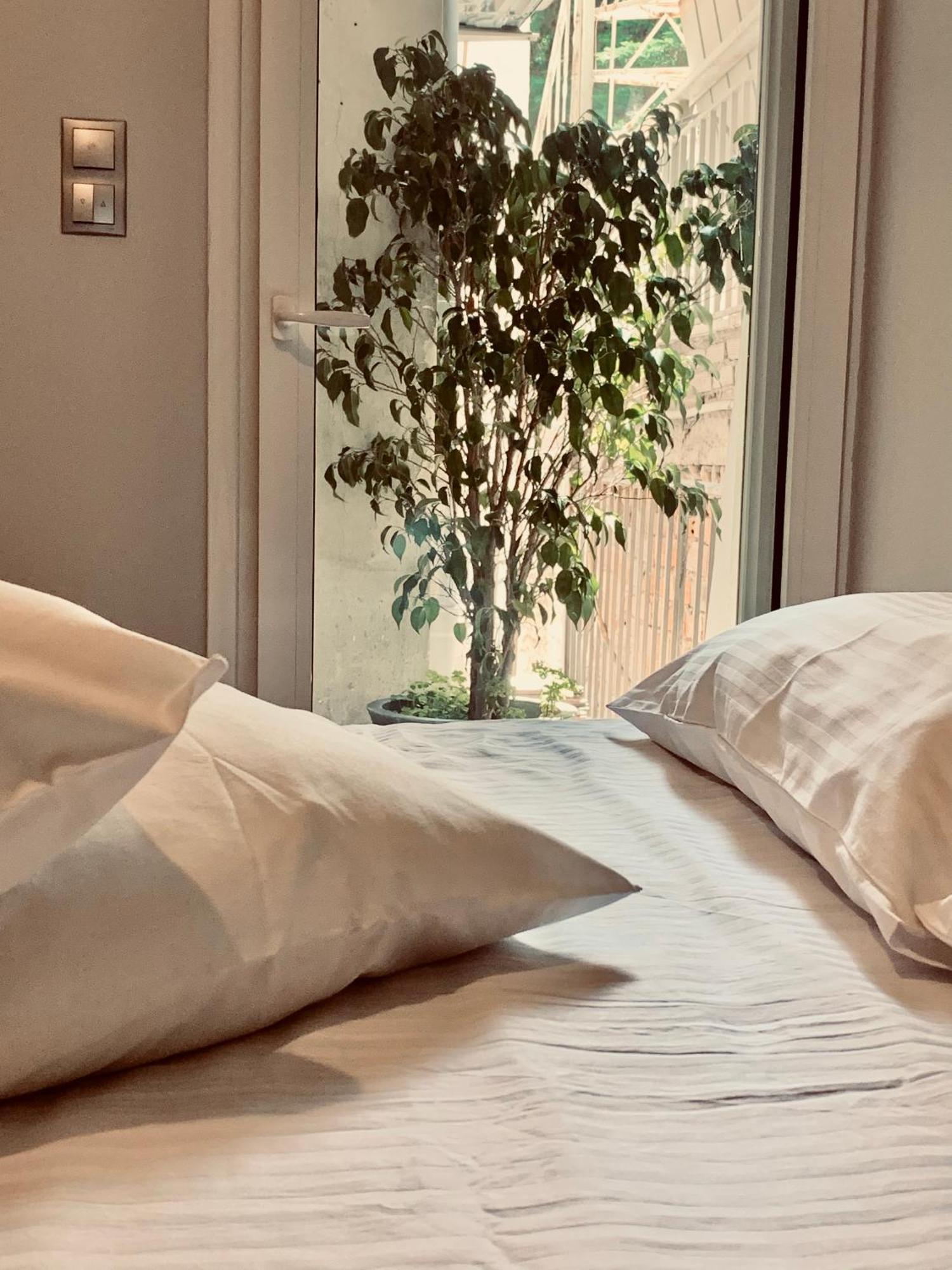 Olympian Zeus Apartments Атина Екстериор снимка